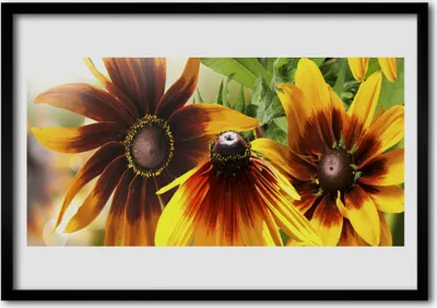 Produktbild von Bild 70x50 MDF-Rahmen Wandkunst Blumen Pflanzen