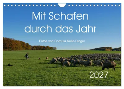 Produktbild von Mit Schafen durch das Jahr (Wandkalender 2027 DIN A4 quer), CALVENDO Monatskalender
