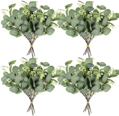 Produktbild von Eucalyptus-Grünpflege - 24 Stück - 29 cm - Silberdollar - für Urlaub, Party, Hochzeit, Garten, Fenster, Haus, Büro