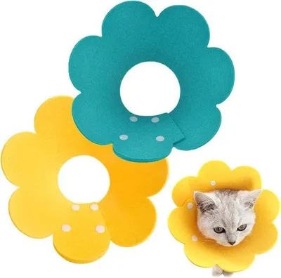 Productafbeelding van Famanu Halsbanden voor katten - Verstelbare beschermende halsbanden voor katten - Verkrijgbaar in verschillende kleuren