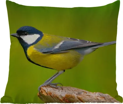 Produktbild von MuchoWow® Outdoor Kissen - Vogel - Kohlmeise - Tiere - Grün - 40x40 cm - Wetterfest - Lounge Kissen - Kopfkissen - Interieur - Polster mit Bild