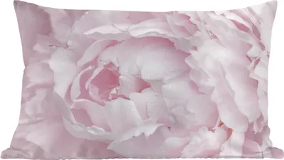 Produktbild von MuchoWow® Zierkissen Sofakissen Wohnzimmer Dekokissen 50x30 cm Nahaufnahme und Draufsicht einer rosa Pfingstrose - Wohnzimmerdekoration - Polster mit Photo