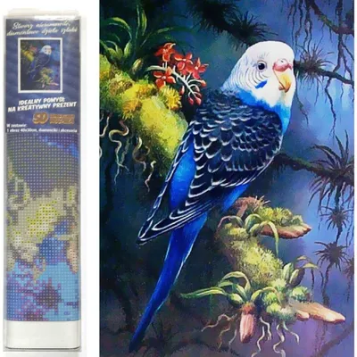 Image de Mosaïque de diamants - Perroquet