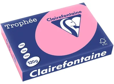 Image de Clairefontaine Papier à copier 1277C A4 120g rose vif 250fl.