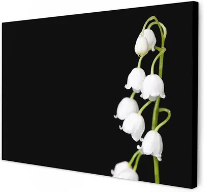 Obrázek produktu pro Umělecká nástěnná dekorace – obraz na dřevěném rámu v černé barvě – 90 x 60 cm, květinový motiv