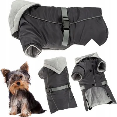 Produktbild von Hundewintermantel mit Reflektor isoliert mit Kapuze Jacke S