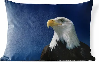 Produktbild von MuchoWow® Outdoor Kissen - Ein Weißkopfseeadler schaut in einen blauen Himmel - 50x30 cm - Wetterfest - Lounge Kissen - Sofa kissen - Wohnzimmer Dekoration