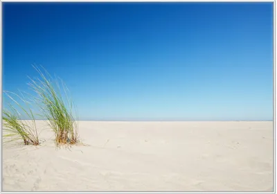 Produktbild von Wallario Wandbild Sandstrand unter blauem Himmel, Größe: 70,30 x 100,30 cm, Poster mit weißem Kunststoffrahmen