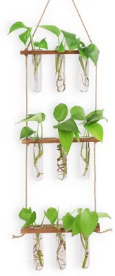 Productafbeelding van Hydrocultuur-wandterras met verlichting via glazen buizen