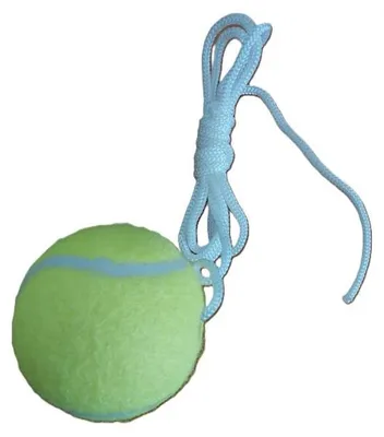 Produktbild von NSP Ersatzbälle+Schnur für Tennistrainer