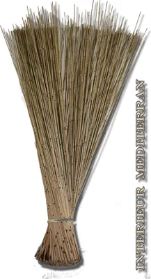 Produktbild von TROCKENBLUMEN Schilf "Mikado" ca. 75 cm