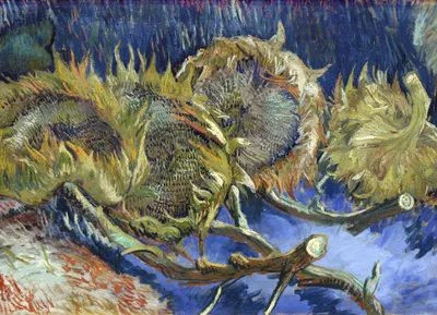 Immagine prodotto di Poster 18x13 cm Quattro girasoli appassiti, Van Gogh Vintage