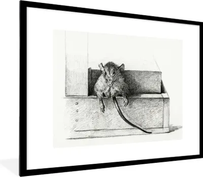Produktbild von MuchoWow® MuchoWow® Gerahmtes Poster Maus - Gemälde von Jean Bernard 80x60 cm - Poster mit zchwarzem Bilderrahmen - Schlafzimmer-Dekorationen - Fotoposter