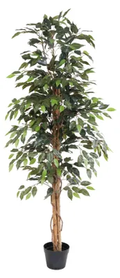 Immagine prodotto di Ficus benjamina artificiale da 160 cm in vaso – Ficus benjamina artificiale con chioma fitta