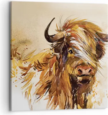 Produktbild von Bild auf Leinwand - Leinwandbild - Einteilig - Stier Scotch Aquarell - 70x70cm - Wand Bild - Wanddeko - Wandbilder - Leinwanddruck - Bilder - Wanddekoration - Leinwand bilder - Wandbild - AC70x70-4708