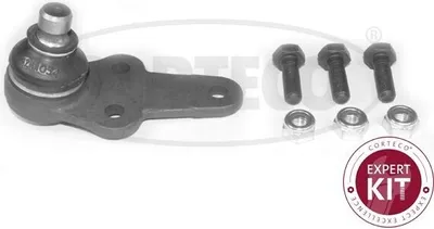 Produktbild von CORTECO Traggelenk Vorne Rechts Vorne Links Unten für FORD Fiesta Mk5 Schrägheck (JH1, JD1, JH3, JD3) 49399012