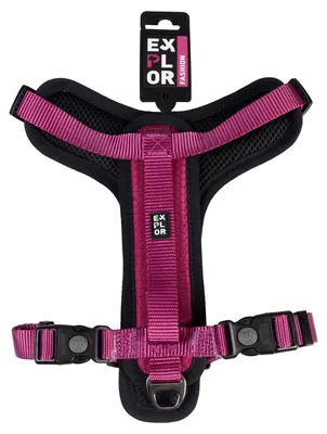 Produktbild von Duvo+ Geschirr Y Fashion fuchsie, Größe: XL