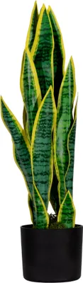 Zdjęcie produktu dla Sztuczna roślina Paperflow PASAN65 Sansevieria 65cm