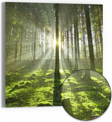 Produktbild von DEQORI Hybrid Leinwand Bild 50x50 cm 'Waldlichtspiele' Wandbild Glas flach modern