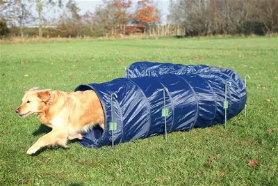 Zdjęcie produktu dla TRIXIE 3211, Pies, Tunel sprawnościowy, Niebieski, Poliester, 5000 mm, 60 cm