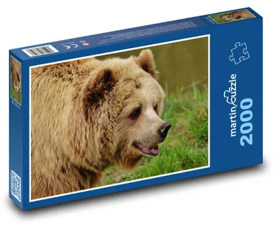 Obrázek produktu pro martinpuzzle - Puzzle 2000 - Medvěd v zoo