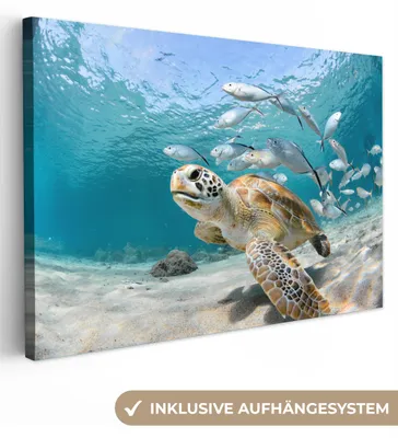 Produktbild von MuchoWow® - Leinwandbilder - Schildkröte - Fisch - Meer, Wandbild, Wanddeko Bilder Wohnzimmer, 60x40cm