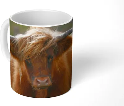 Produktbild von MuchoWow® Tasse Kaffeetasse Kaffeebecher 350 ml Schottische Hochlandbewohner - Heidelandschaft - Tiere Teetasse - Fototasse - Becher - Keramikbecher - Teebecher - Kaffeetasse - Bürotasse