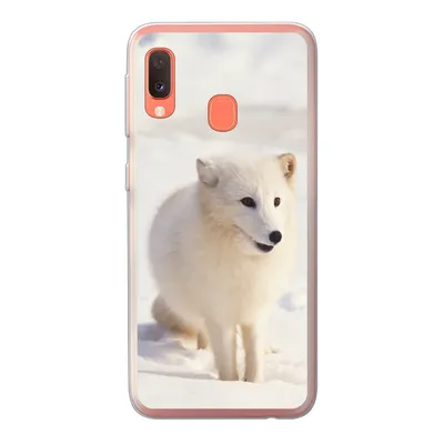 Produktbild von MuchoWow® Handyhülle Schutzhülle Hülle für Samsung Galaxy A20e Fuchs - Schnee - Weiß Silikon Softcase Handy Hülle - Abdeckung