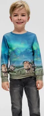 Produktbild von S. Oliver Sweatshirt 00D1 128/134