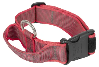 Produktbild von Julius-K9, 100HA-K-R-2015 Color & Gray K9-Halsband mit Haltegriff, Sicherheitsve