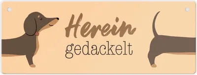 Produktbild von Dackel Metallschild mit Spruch Hereingedackelt