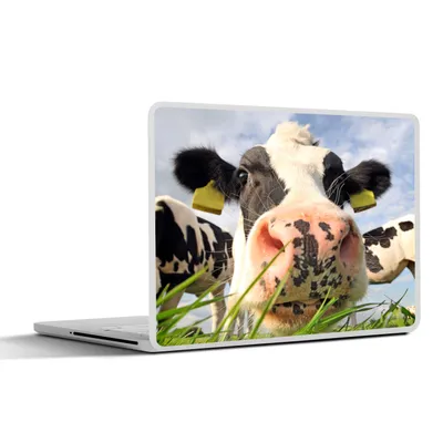 Produktbild von MuchoWow® Laptop Aufkleber Sticker Cover Kuh - Bauernhof - Gras - Tiere 36.5x27.5 cm - Laptop-Sticker