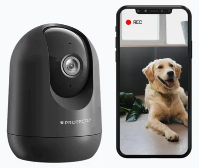 Productafbeelding van Protectly® Beveiligingscamera Binnen - Petcam met App - 2K 3MP Ultra HD - Bewegings- en geluidsdetectie - Zwart