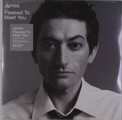 Produktbild von James (Rockband): Pleased To Meet You (180g)
