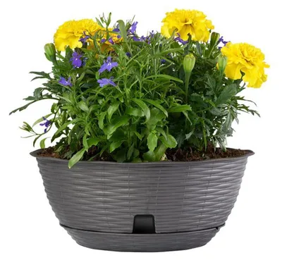 Obrázek produktu pro BAMA Květináč PAGLIA s miskou, antracitový Množství: 1 ks, Rozměry: 20 cm