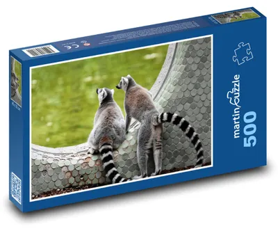 Zdjęcie produktu dla Puzzle 500 Lemury w zoo - martinpuzzle