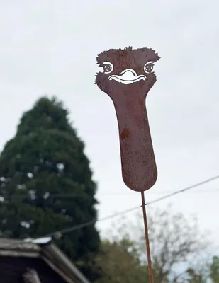 Produktbild von Vogel Strauß Kopf 43x20cm Gartenstecker Edelrost Gartendeko Wetterfest Rost Metall Rostfigur Bauernhof Tier Emu Laufvogel