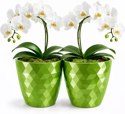 Produktbild von Blumentopf Set aus Kunststoff, UV-beständig, Ø 12 cm, für große und kleine Blumen