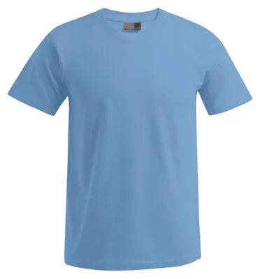 Produktbild von Promodoro - "Premium" T-Shirt für Herren LT3116 (M) (Alaskablau)