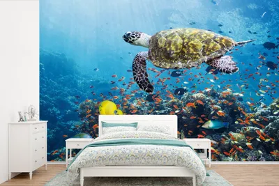 Produktbild von MuchoWow® Fototapete für Wohnzimmer oder Schlafzimmer Wandtapete Vinyl Motivtapete Schildkröte am Korallenriff - 600x400 cm - Vinyltapeten