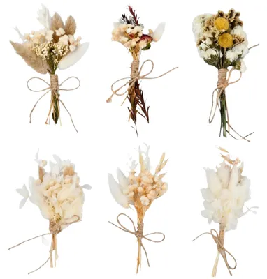 6er-Set Mini-Trockenblumensträuße, 15–17 cm, Naturtöne