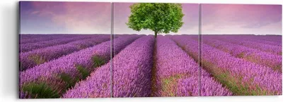 Produktbild von Bild auf Leinwand - Leinwandbild - Wiese lavenda Sommer Landschaft - 120x40cm - Wand Bild - Wanddeko - Leinwanddruck - Bilder - Kunstdruck - Leinwand bilder - Wandkunst - CA120x40-2605
