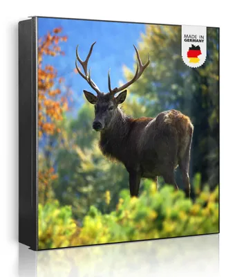 Produktbild von banjado Schlüsselkasten aus Metall, 30x30cm groß mit 32 Haken, als Magnettafel nutzbar, Korpus schwarz, Anschlag rechts, Hirsch [SKG1 10321]