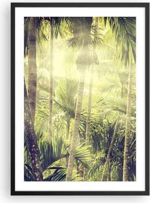 Produktbild von Gerahmtes Poster - Schwarzer Rahmen - Morgendämmerung Dschungel Palmen - 50x70 cm - Wand Bild - Wanddeko - Wandbilder - Kunstposter - Wandposter - Bilderrahmen - Bilder - Kunstdruck - P2BPA50x70-4450