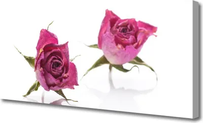 Produktbild von Tulup Leinwand-Bilder 125x50 Wandbild Canvas Kunstdruck Rosen Pflanzen