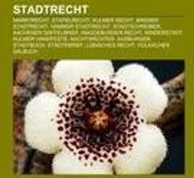 Produktbild von Stadtrecht
