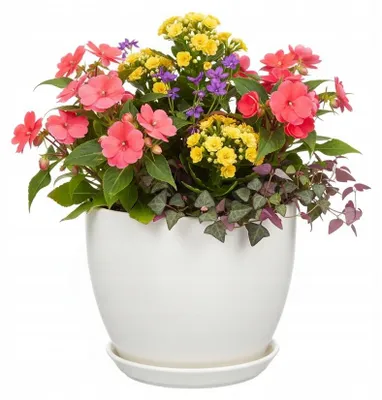 Produktbild von Weisser Keramikblumentopf, Halbmatt, Durchmesser 22 Cm, Höhe 18,5 Cm