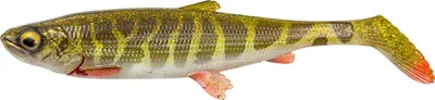 Obrázek produktu pro Savage Gear 3D Herring Shad V2 (čirá štika)