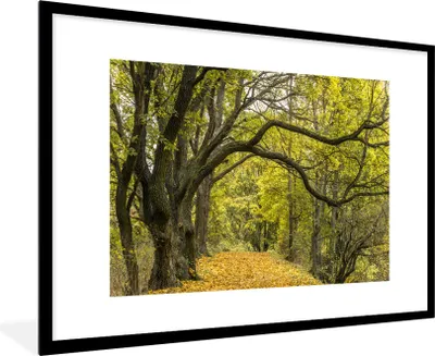 Produktbild von MuchoWow® Gerahmtes Poster Äste auf einem Waldweg 90x60 cm - Poster mit Schwarzem Bilderrahmen Wandposter Rahmen Foto Bilder - Wanddekoration - Fotos
