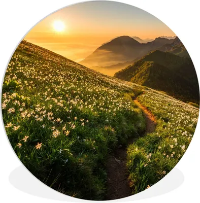 Produktbild von MuchoWow® Rundes Wandbild - Runde Bilder Blumen - Sonne - Berge Ø 60 cm Kreis Wanddekoration Kunststoff - Wandkreis - Wandschmuck - Wand Kreis - Das Schlafzimmer - Die Bilder - Wandmalerei - Kunst für das Haus - das Plastik